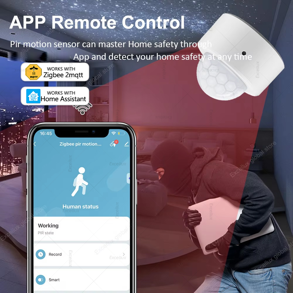 ZigBee PIR Motion Sensor Mini  - Zigbee Motion Sensor review and price