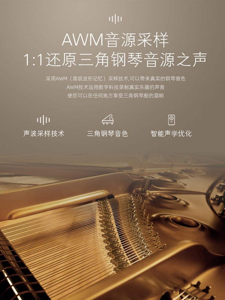 Grand Piano 88-Key Weighted Sm - Smart Home Uses review and price