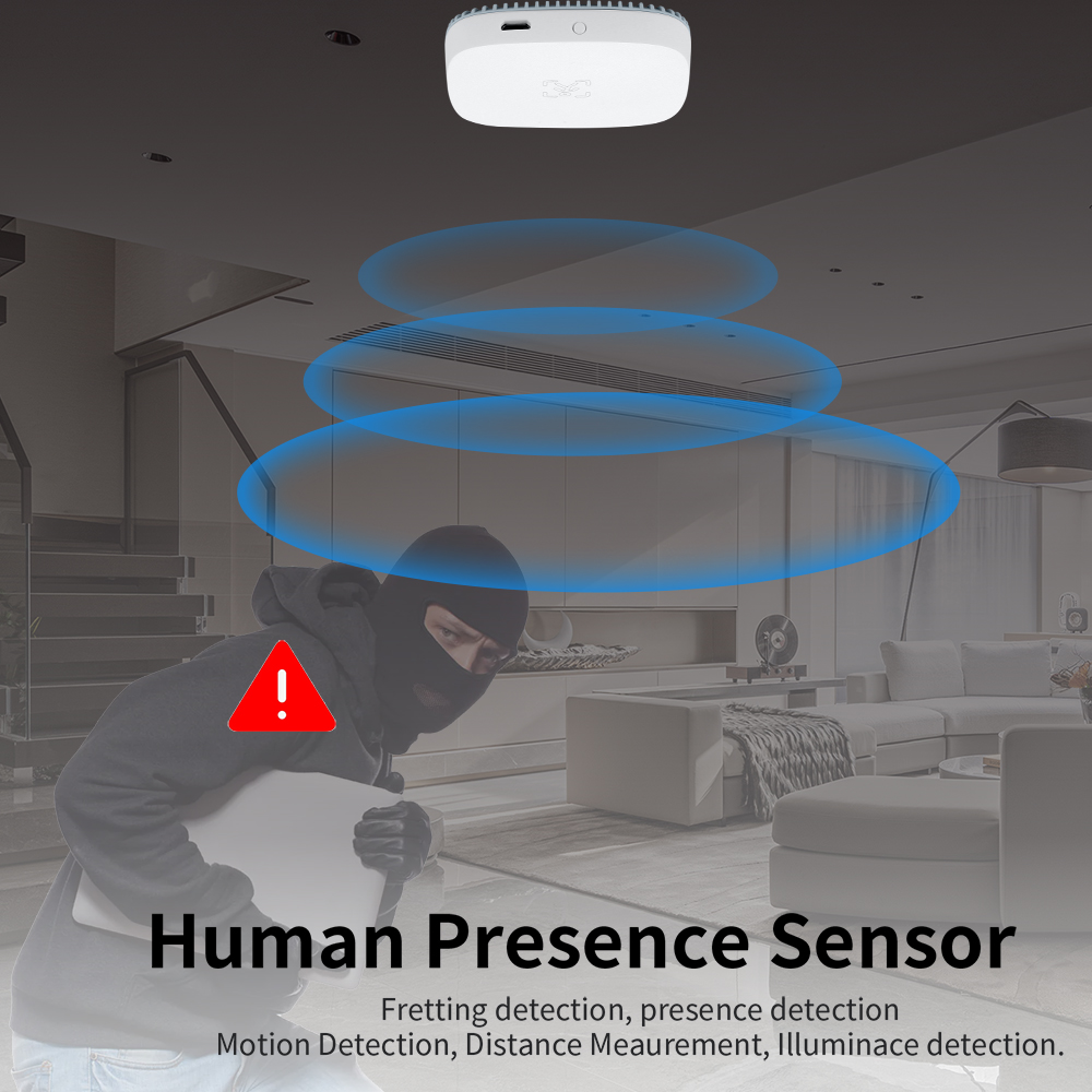 24G Mmwave Radar Human Presenc - Zigbee Motion Sensor review and price