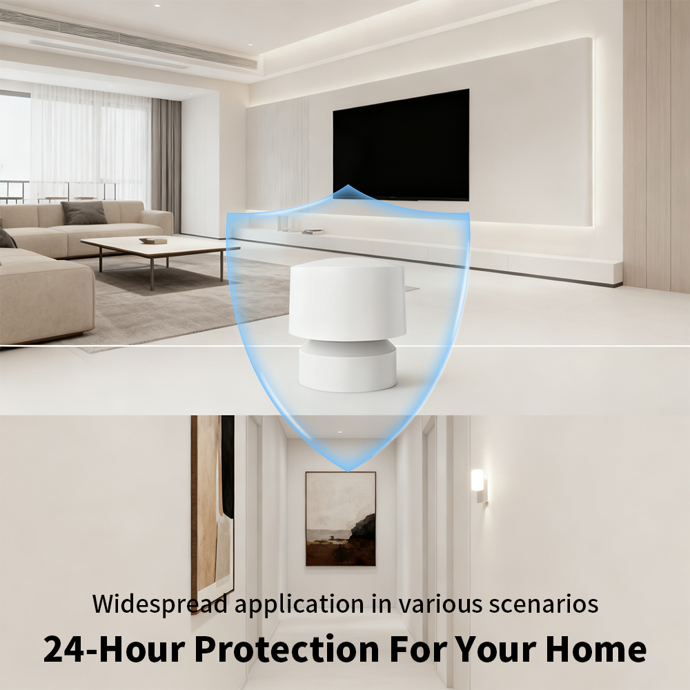 Zigbee or WiFi Smart Human Pre - Zigbee Motion Sensor review and price