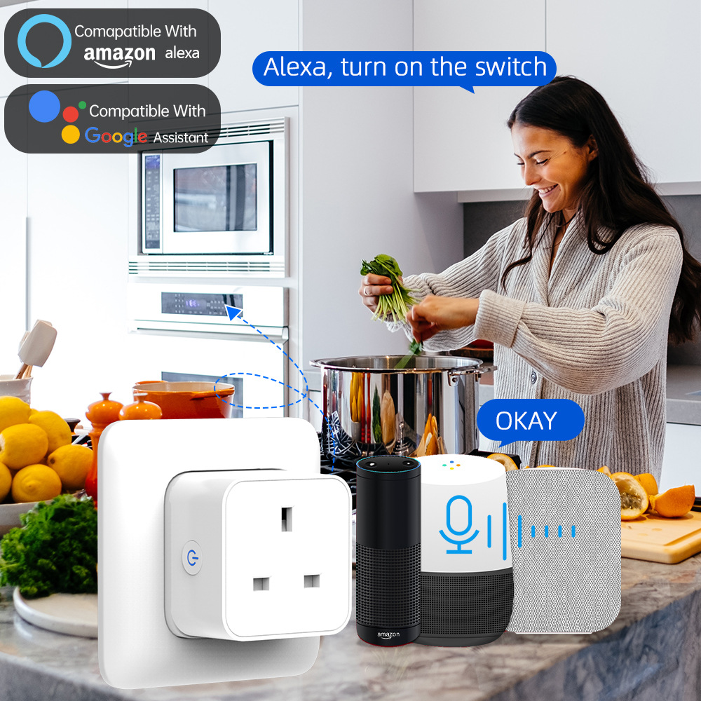 Tuya Smart Socket 16A/20A WiFi - Smart Home Setup review and price