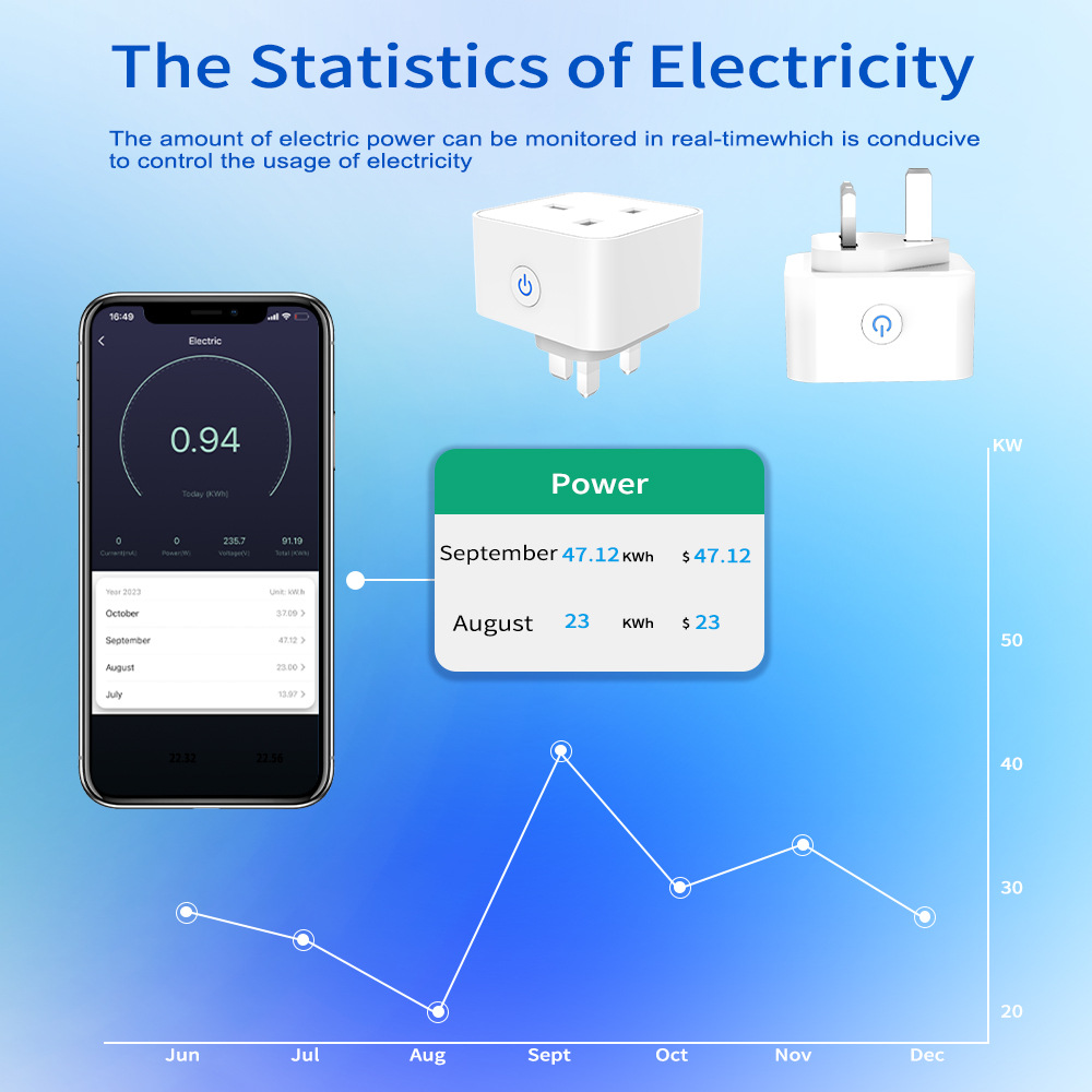 Tuya Smart Socket 16A/20A WiFi - Smart Home Setup review and price