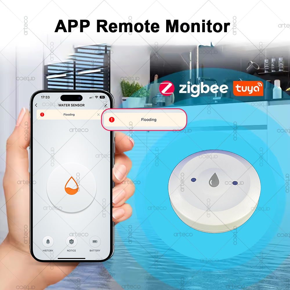 Tuya Smart Zigbee Water Sensor - Smart Home Setup review and price