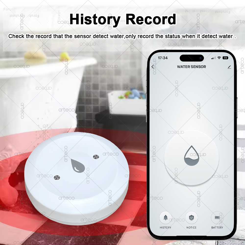 Tuya Smart Zigbee Water Sensor - Smart Home Setup review and price