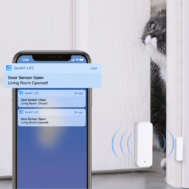 Tuya WiFi Zigbee Door Window S - Smart Home Web review and price
